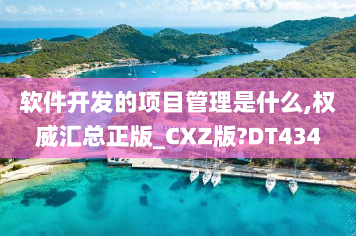 软件开发的项目管理是什么,权威汇总正版_CXZ版?DT434