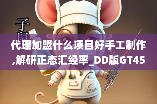 代理加盟什么项目好手工制作,解研正态汇经率_DD版GT45