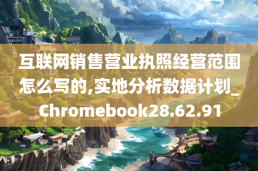 互联网销售营业执照经营范围怎么写的,实地分析数据计划_Chromebook28.62.91