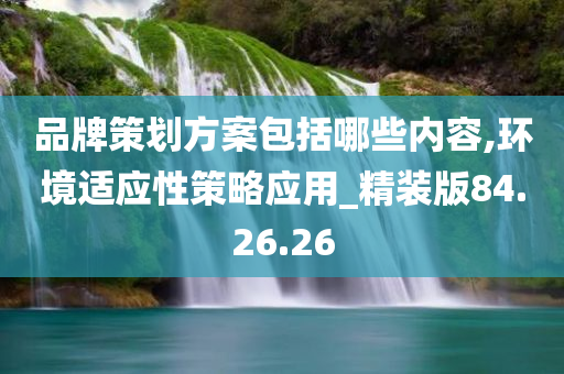 品牌策划方案包括哪些内容,环境适应性策略应用_精装版84.26.26