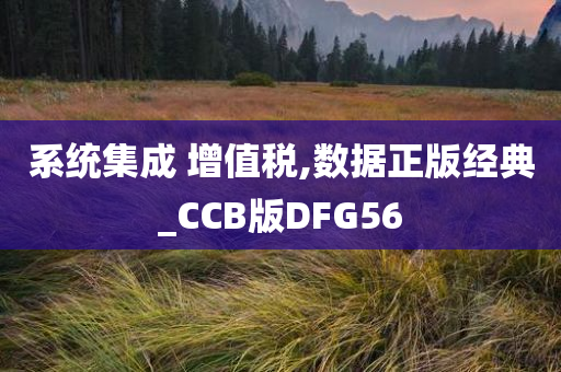 系统集成 增值税,数据正版经典_CCB版DFG56