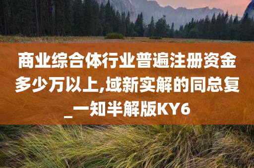 商业综合体行业普遍注册资金多少万以上,域新实解的同总复_一知半解版KY6