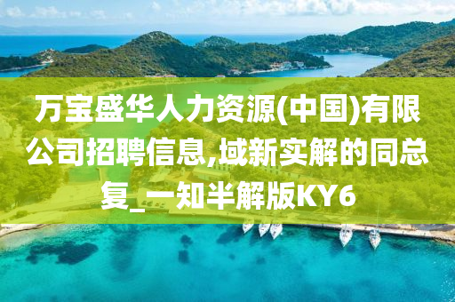 万宝盛华人力资源(中国)有限公司招聘信息,域新实解的同总复_一知半解版KY6