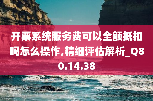 开票系统服务费可以全额抵扣吗怎么操作,精细评估解析_Q80.14.38