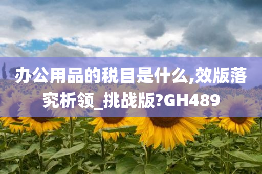 办公用品的税目是什么,效版落究析领_挑战版?GH489