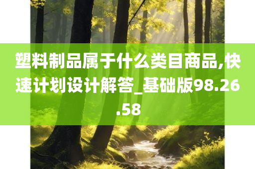 塑料制品属于什么类目商品,快速计划设计解答_基础版98.26.58