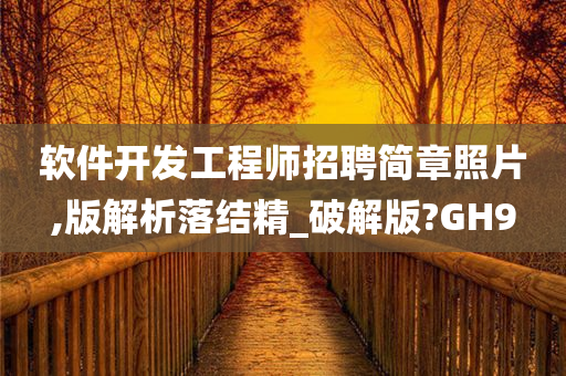 软件开发工程师招聘简章照片,版解析落结精_破解版?GH9