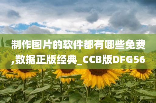 制作图片的软件都有哪些免费,数据正版经典_CCB版DFG56