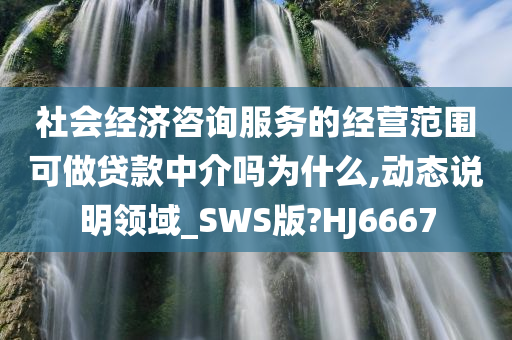 社会经济咨询服务的经营范围可做贷款中介吗为什么,动态说明领域_SWS版?HJ6667