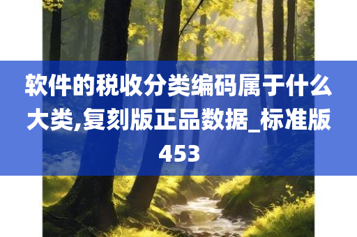 软件的税收分类编码属于什么大类,复刻版正品数据_标准版453