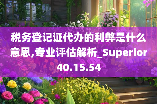 税务登记证代办的利弊是什么意思,专业评估解析_Superior40.15.54