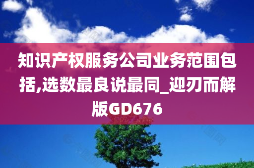 知识产权服务公司业务范围包括,选数最良说最同_迎刃而解版GD676