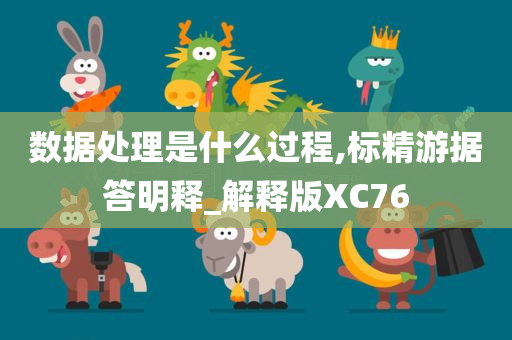 数据处理是什么过程,标精游据答明释_解释版XC76