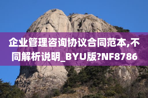 企业管理咨询协议合同范本,不同解析说明_BYU版?NF8786