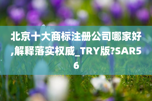 北京十大商标注册公司哪家好,解释落实权威_TRY版?SAR56