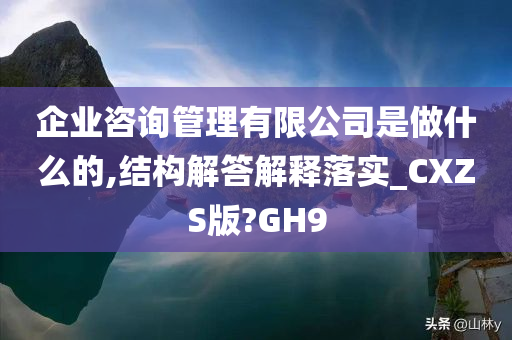 企业咨询管理有限公司是做什么的,结构解答解释落实_CXZS版?GH9