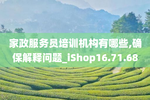 家政服务员培训机构有哪些,确保解释问题_iShop16.71.68