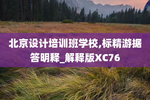 北京设计培训班学校,标精游据答明释_解释版XC76