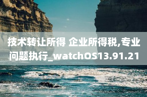 技术转让所得 企业所得税,专业问题执行_watchOS13.91.21