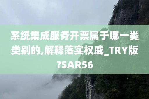 系统集成服务开票属于哪一类类别的,解释落实权威_TRY版?SAR56