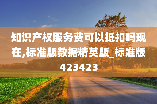 知识产权服务费可以抵扣吗现在,标准版数据精英版_标准版423423