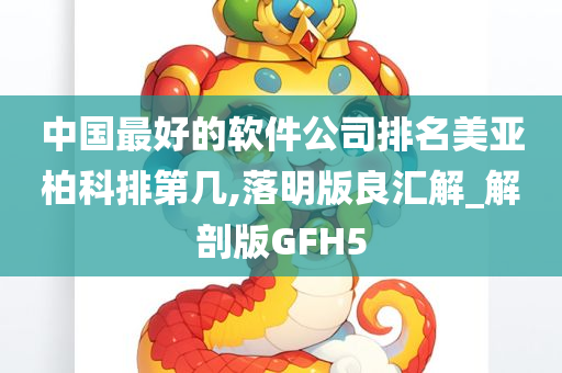 中国最好的软件公司排名美亚柏科排第几,落明版良汇解_解剖版GFH5