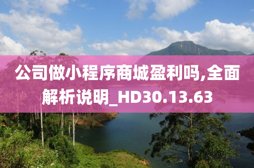 公司做小程序商城盈利吗,全面解析说明_HD30.13.63