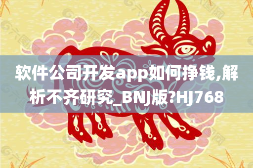 软件公司开发app如何挣钱,解析不齐研究_BNJ版?HJ768