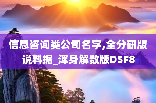 信息咨询类公司名字,全分研版说料据_浑身解数版DSF8