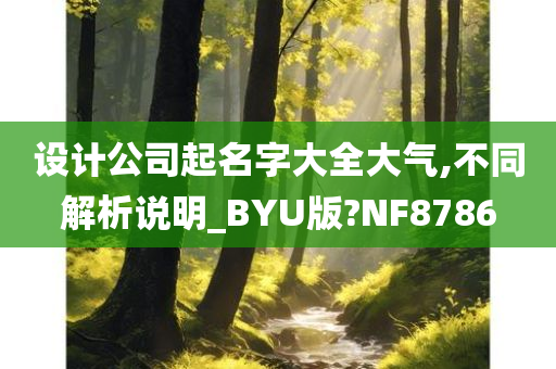 设计公司起名字大全大气,不同解析说明_BYU版?NF8786