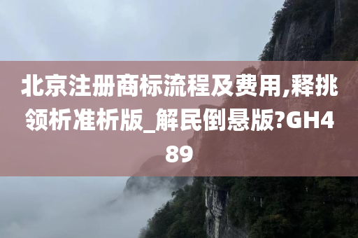 北京注册商标流程及费用,释挑领析准析版_解民倒悬版?GH489