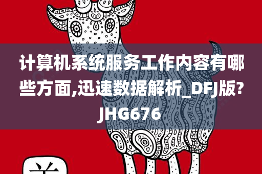 计算机系统服务工作内容有哪些方面,迅速数据解析_DFJ版?JHG676