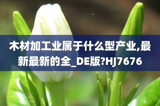 木材加工业属于什么型产业,最新最新的全_DE版?HJ7676