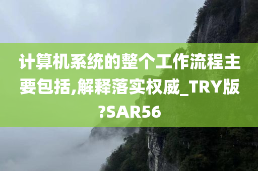 计算机系统的整个工作流程主要包括,解释落实权威_TRY版?SAR56