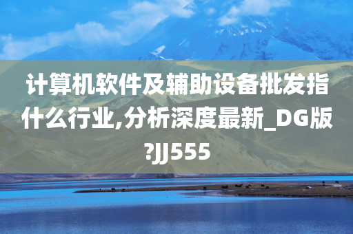 计算机软件及辅助设备批发指什么行业,分析深度最新_DG版?JJ555