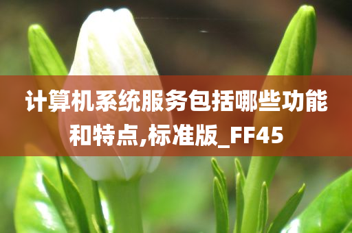 计算机系统服务包括哪些功能和特点,标准版_FF45