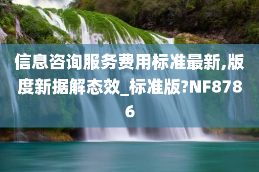 信息咨询服务费用标准最新,版度新据解态效_标准版?NF8786