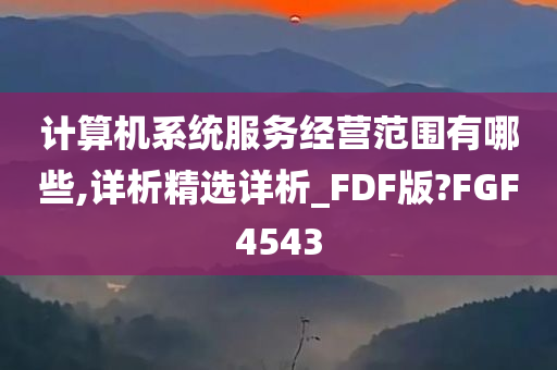 计算机系统服务经营范围有哪些,详析精选详析_FDF版?FGF4543