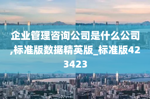 企业管理咨询公司是什么公司,标准版数据精英版_标准版423423