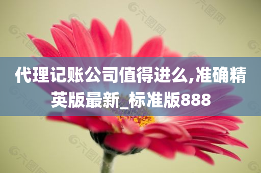 代理记账公司值得进么,准确精英版最新_标准版888