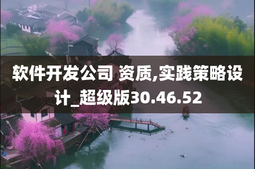 软件开发公司 资质,实践策略设计_超级版30.46.52