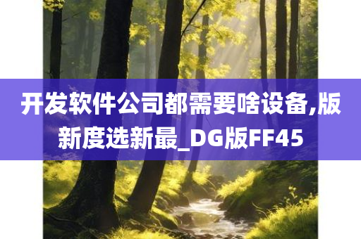 开发软件公司都需要啥设备,版新度选新最_DG版FF45