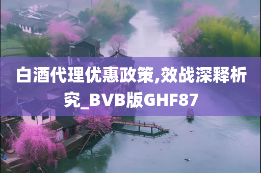 白酒代理优惠政策,效战深释析究_BVB版GHF87