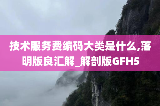 技术服务费编码大类是什么,落明版良汇解_解剖版GFH5