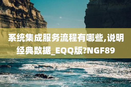 系统集成服务流程有哪些,说明经典数据_EQQ版?NGF89