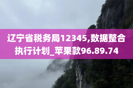 辽宁省税务局12345,数据整合执行计划_苹果款96.89.74