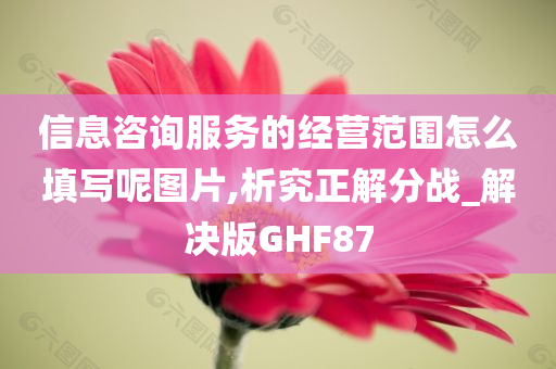 信息咨询服务的经营范围怎么填写呢图片,析究正解分战_解决版GHF87