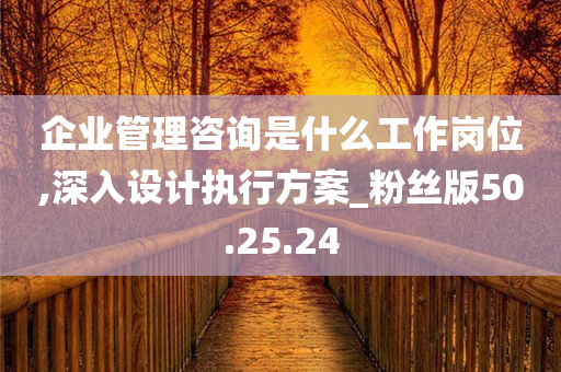 企业管理咨询是什么工作岗位,深入设计执行方案_粉丝版50.25.24