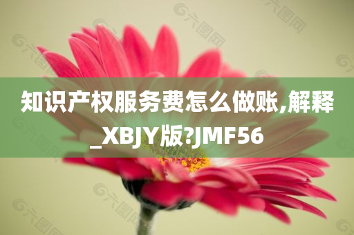 知识产权服务费怎么做账,解释_XBJY版?JMF56