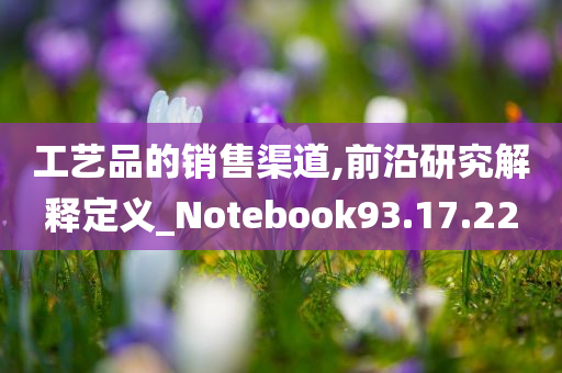 工艺品的销售渠道,前沿研究解释定义_Notebook93.17.22